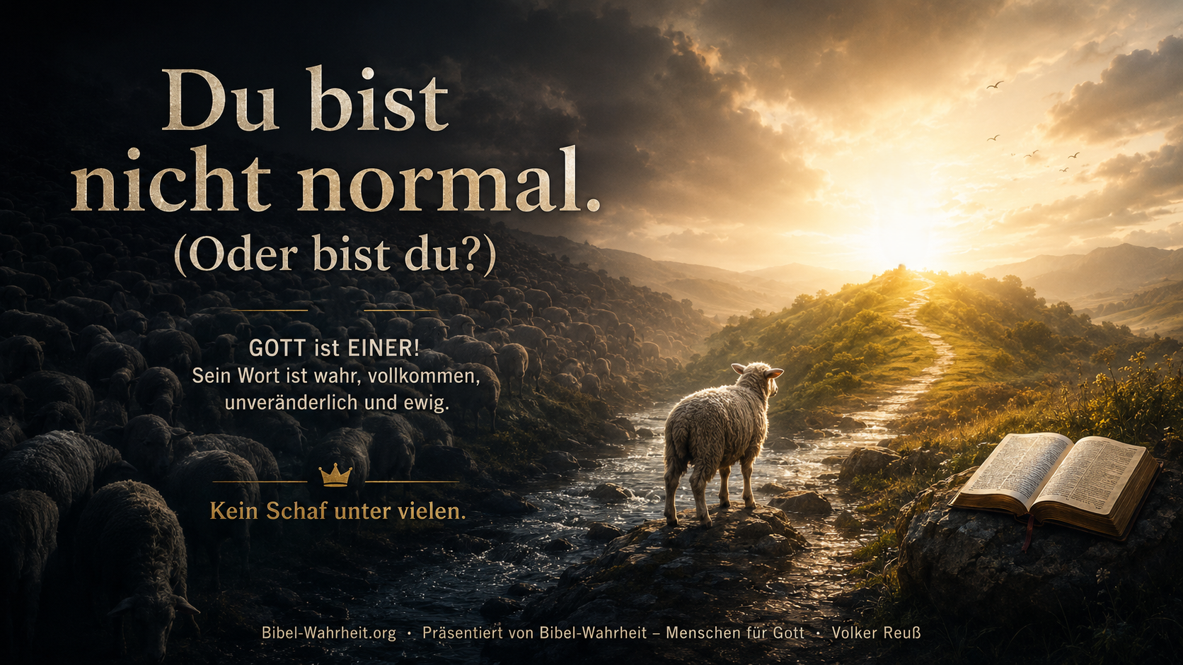 Du bist nicht normal.   (Oder bist du?)